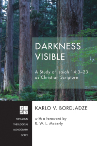 Cover image: Darkness Visible 9781532616570