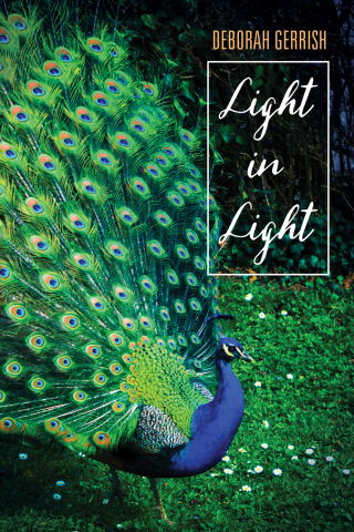 Imagen de portada: Light in Light 9781532616914