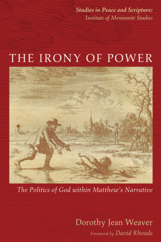 Imagen de portada: The Irony of Power 9781625648860
