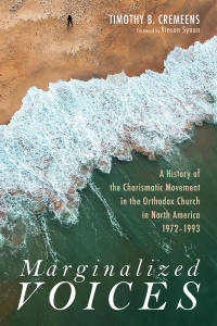 Cover image: Marginalized Voices 9781532617089