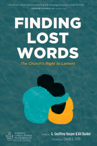Cover image: Finding Lost Words 9781532617478