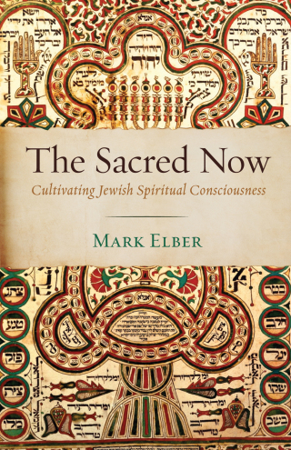 Imagen de portada: The Sacred Now 9781532617591