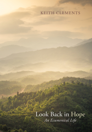 Cover image: Look Back in Hope 9781532618550