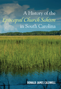 Titelbild: A History of the Episcopal Church Schism in South Carolina 9781532618857