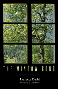 Omslagafbeelding: The Window Song 9781532619120