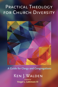 Titelbild: Practical Theology for Church Diversity 9781620323793