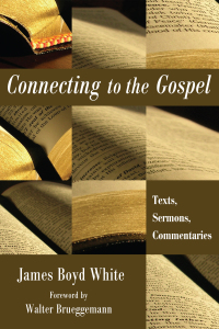 Titelbild: Connecting to the Gospel 9781608991358