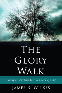 Imagen de portada: The Glory Walk 9781608993567