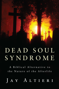 Cover image: Dead Soul Syndrome 9781608993581