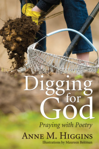 Omslagafbeelding: Digging for God 9781608998074