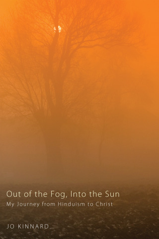 Cover image: Out of the Fog, Into the Sun 9781608998418