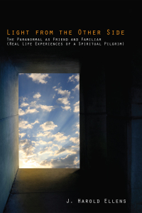 Cover image: Light from the Other Side 9781608999620