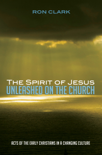 Omslagafbeelding: The Spirit of Jesus Unleashed on the Church 9781625648914