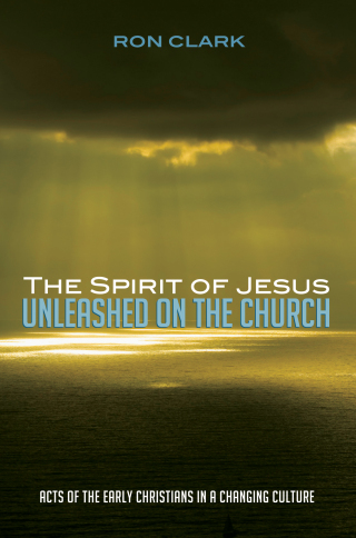 Cover image: The Spirit of Jesus Unleashed on the Church 9781625648914