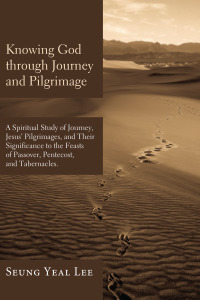 Omslagafbeelding: Knowing God through Journey and Pilgrimage 9781608998197