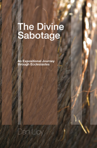 Cover image: The Divine Sabotage 9781556359613