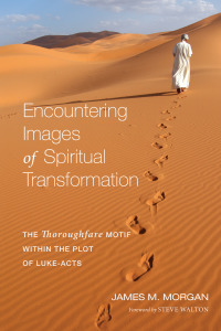 Omslagafbeelding: Encountering Images of Spiritual Transformation 9781610979801