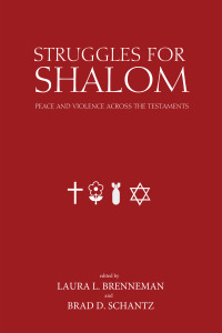 Titelbild: Struggles for Shalom 9781620326220