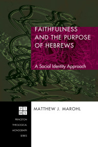 Titelbild: Faithfulness and the Purpose of Hebrews 9781556355127