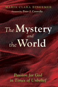 Cover image: The Mystery and the World 9781625641069