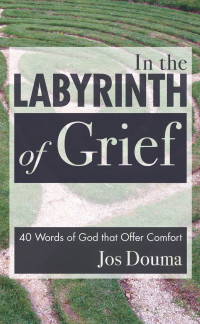 Omslagafbeelding: In the Labyrinth of Grief 9781606087916