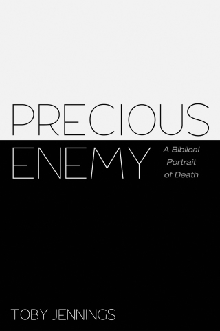 Imagen de portada: Precious Enemy 9781498280679