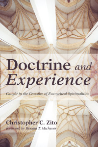 Cover image: Doctrine and Experience 9781498281195