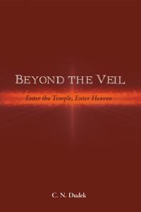 Imagen de portada: Beyond the Veil 9781498282444