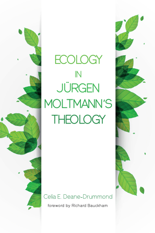 Cover image: Ecology in Jurgen Moltmann’s Theology 9781498283526