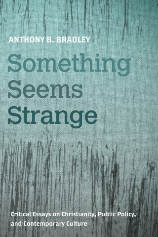 Cover image: Something Seems Strange 9781498283908