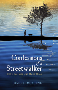 Titelbild: Confessions of a Streetwalker 9781498289498