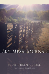 Cover image: Sky Mesa Journal 9781498289672