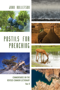 Titelbild: Postils for Preaching 9781498290494