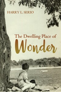 Cover image: The Dwelling Place of Wonder 9781498291576