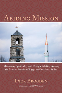 Cover image: Abiding Mission 9781498293303