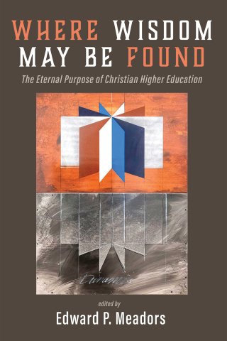 Cover image: Where Wisdom May Be Found 9781498296106