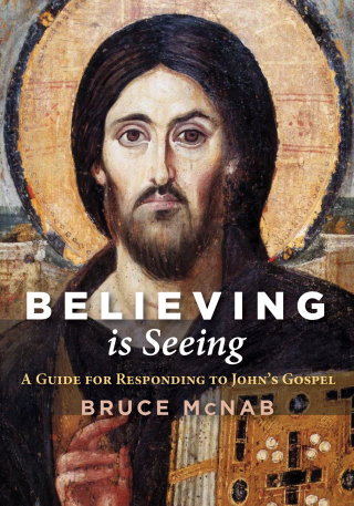 Cover image: Believing is Seeing 9781498298056