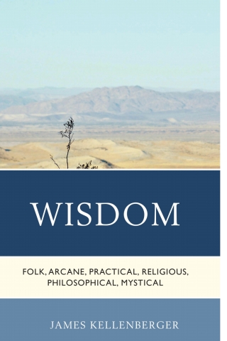 Cover image: Wisdom 9781498509398