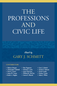 Cover image: The Professions and Civic Life 9781498536202