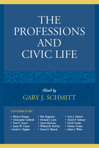 Cover image: The Professions and Civic Life 1st edition 9781498536202