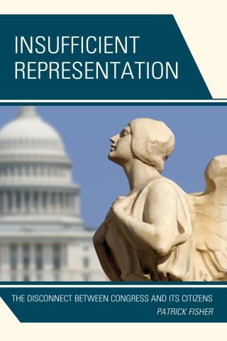 Cover image: Insufficient Representation 9781498545327