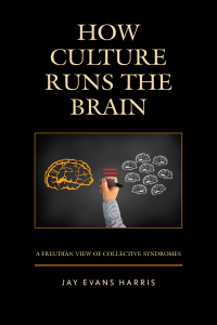 Cover image: How Culture Runs the Brain 9781498562478