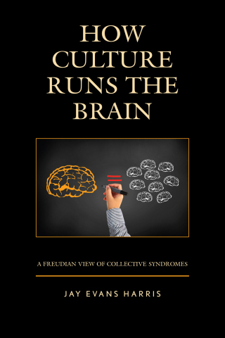 Cover image: How Culture Runs the Brain 1st edition 9781498562454