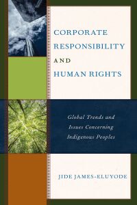 Imagen de portada: Corporate Responsibility and Human Rights 9781498566643