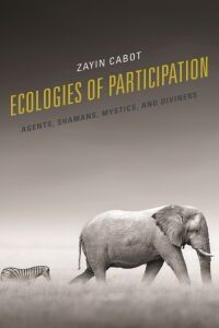 Cover image: Ecologies of Participation 9781498568159