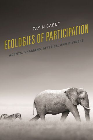 Cover image: Ecologies of Participation 1st edition 9781498568159