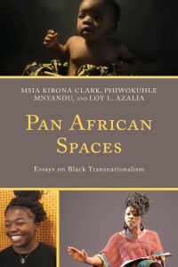 Titelbild: Pan African Spaces 9781498581929