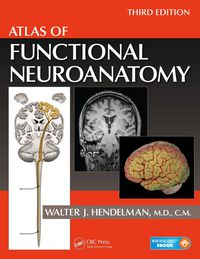 表紙画像: Atlas of Functional Neuroanatomy 3rd edition 9781466585348