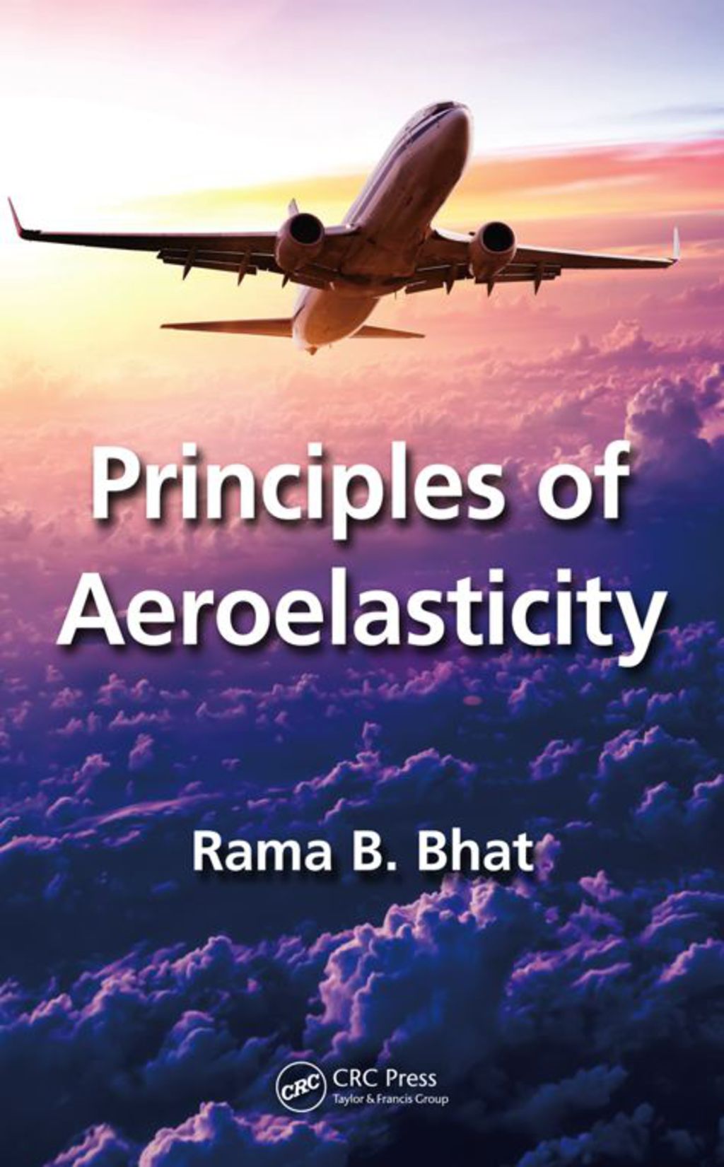 Principles of Aeroelasticity 1st Edition