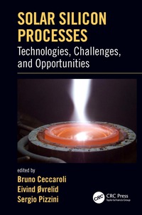 Titelbild: Solar Silicon Processes 1st edition 9780367874780